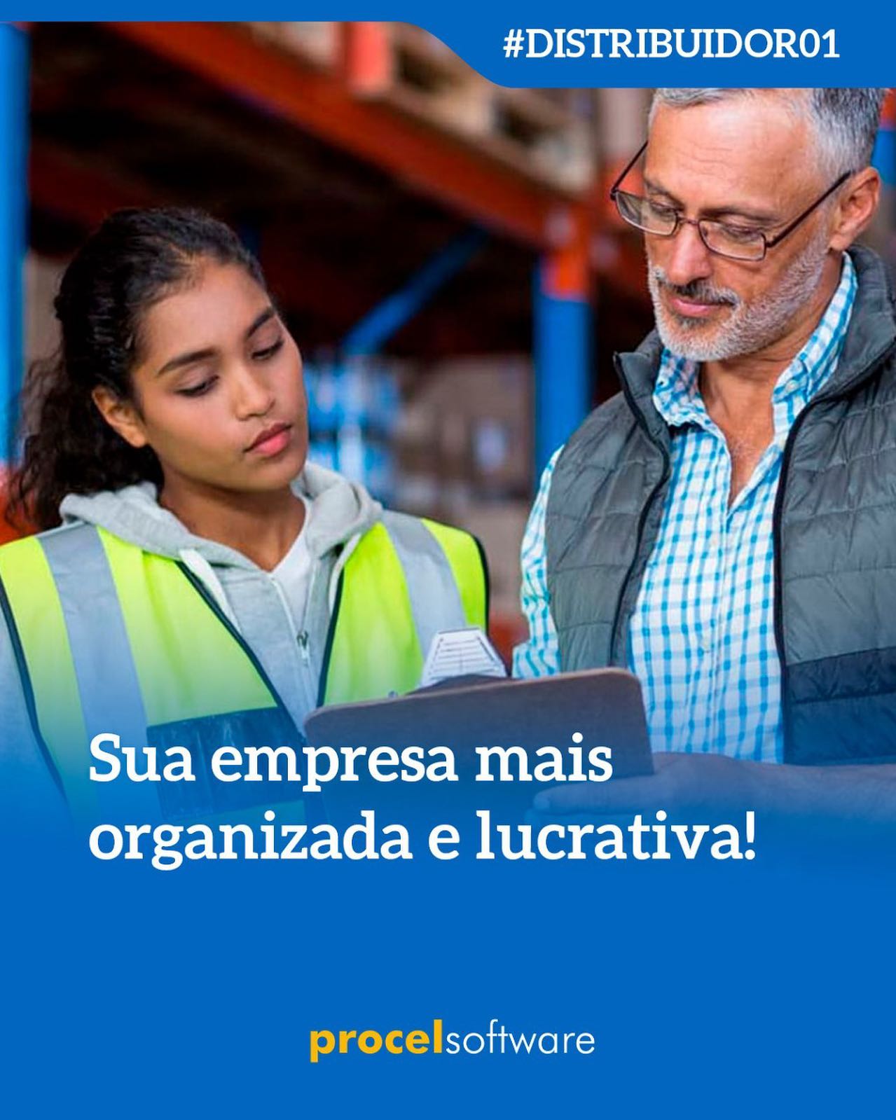 O Distribuidor 01 é um perfil de software indicado para empresas Distribuidor...